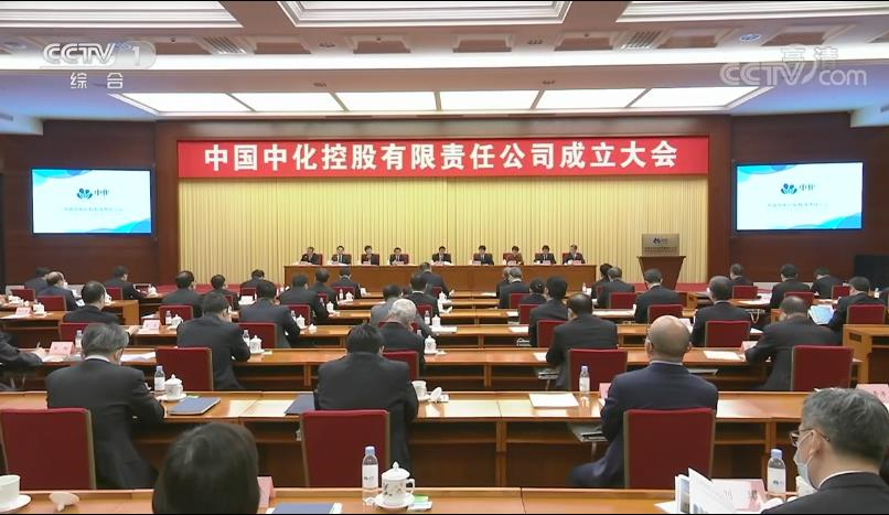 王勇出席中國中化控股有限責任公司成立大會